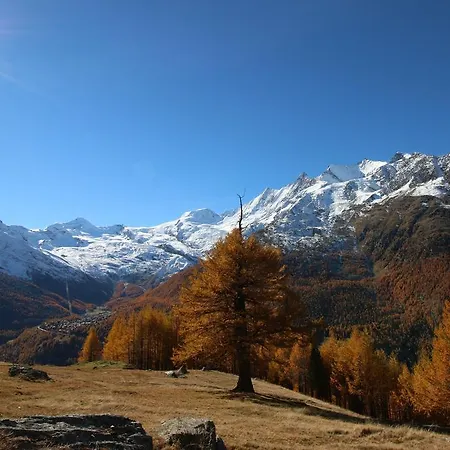 Berggruss * Saas-Grund